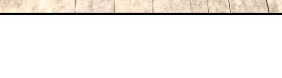 203.jpg
