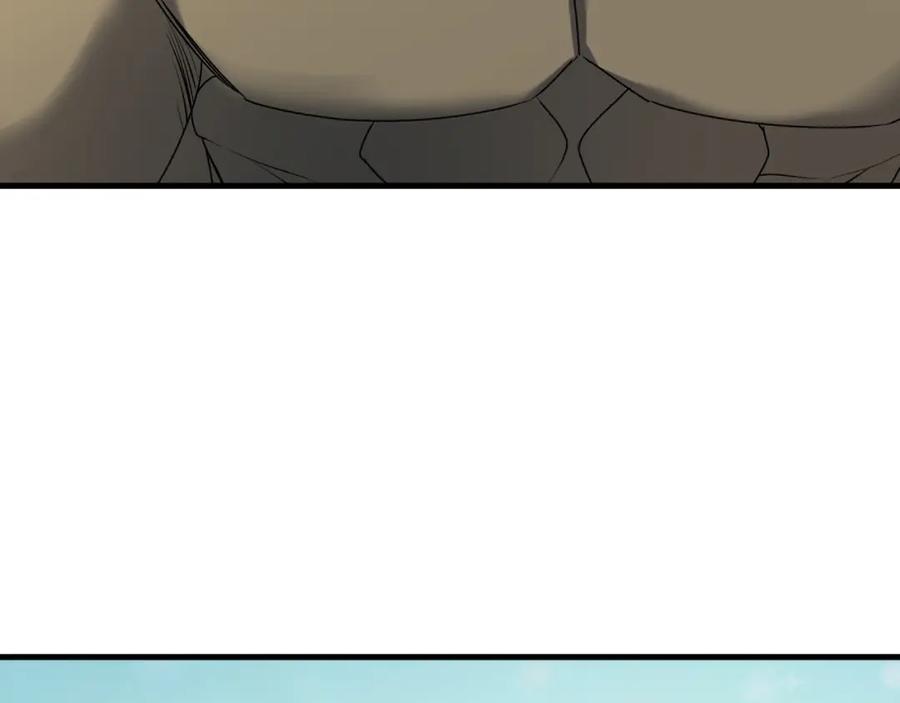 232.jpg