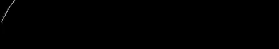 166.jpg