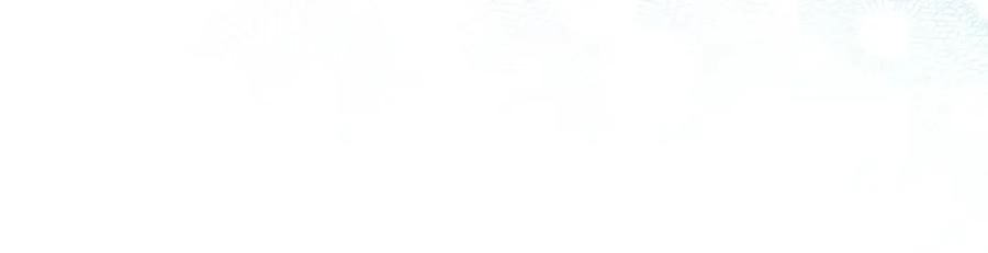 90.jpg