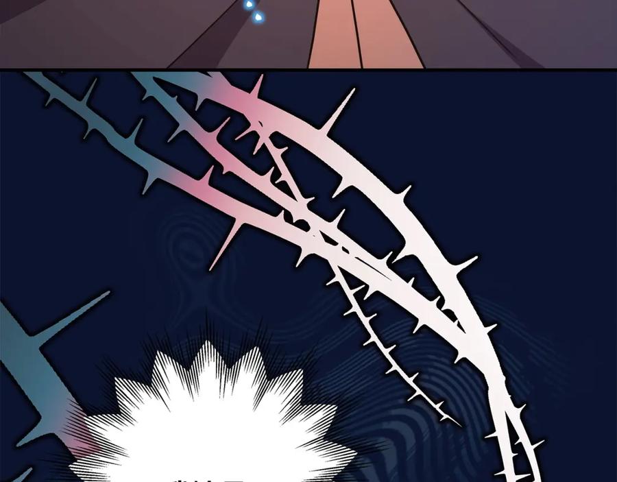 242.jpg