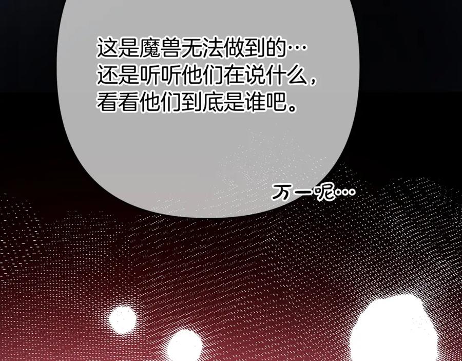 342.jpg