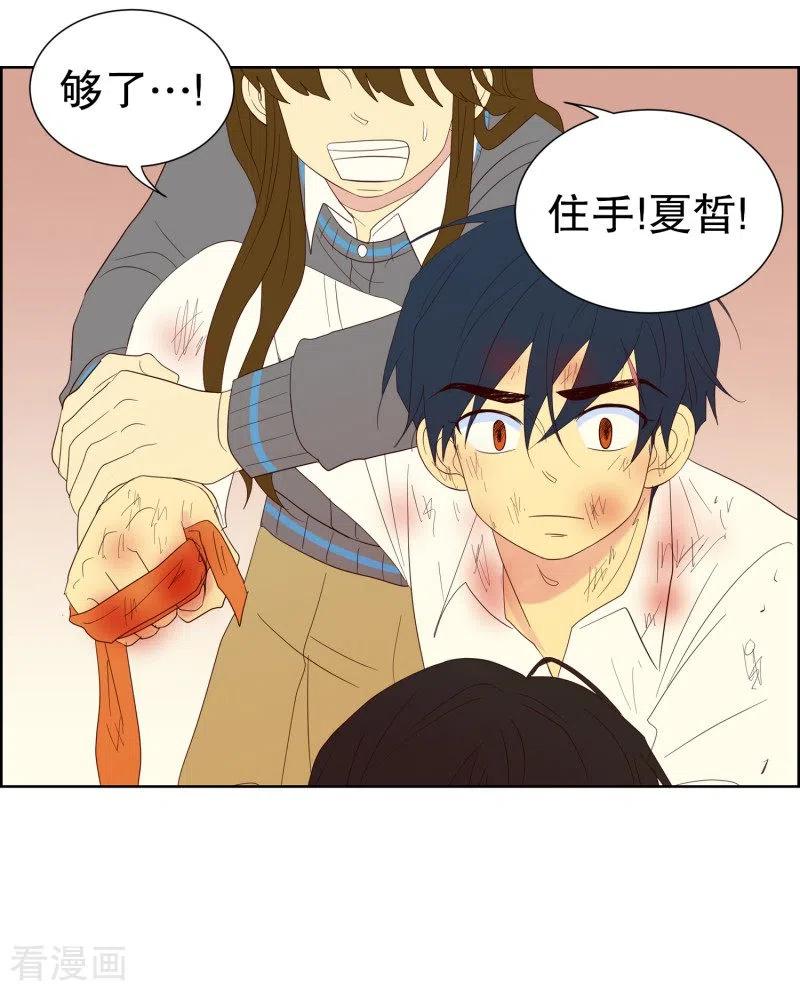 第120话夏皙的选择11-走进少女的心-不仅文化（第4张）