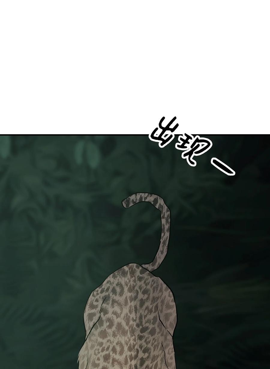 35猫咪-图腾领域-Soohyeon Lee,JAEDAM MEDIA,极直社（第3张）
