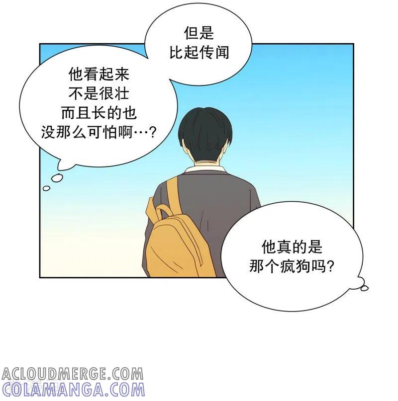 第88话元尚超与靶子1-走进少女的心-不仅文化（第7张）