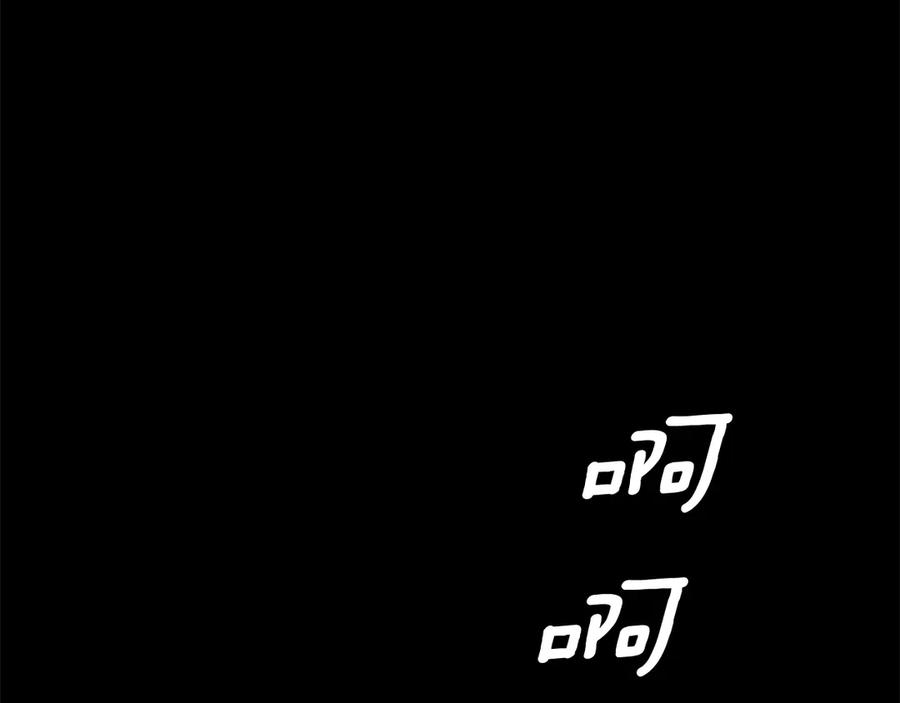 244.jpg