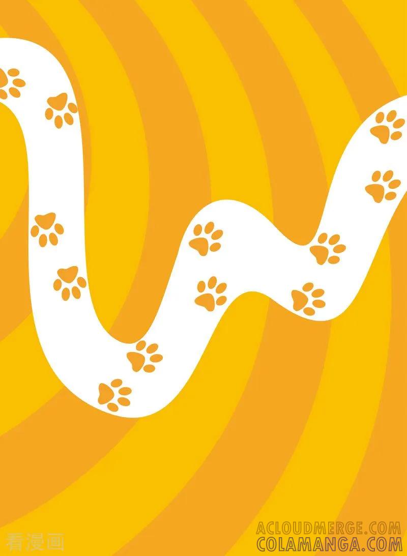 第11话-虹猫蓝兔快乐数学-虹猫蓝兔（第2张）