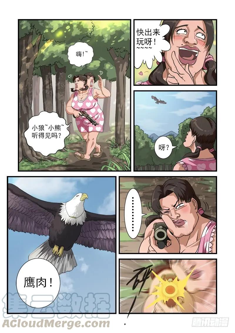 5.jpg