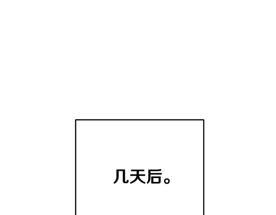 131.jpg