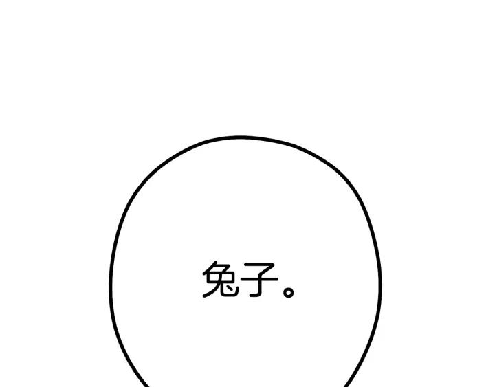 207.jpg