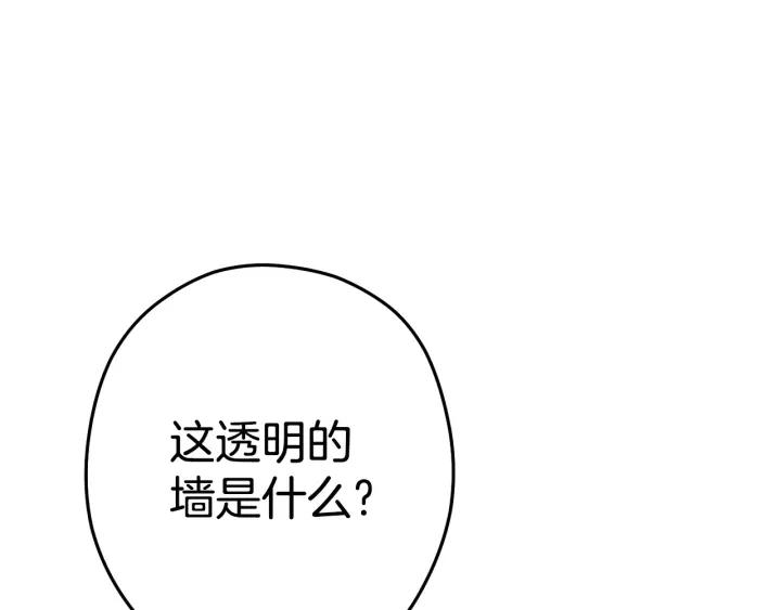 98.jpg