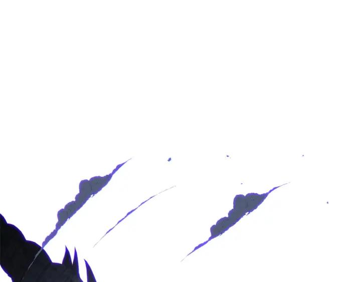 240.jpg