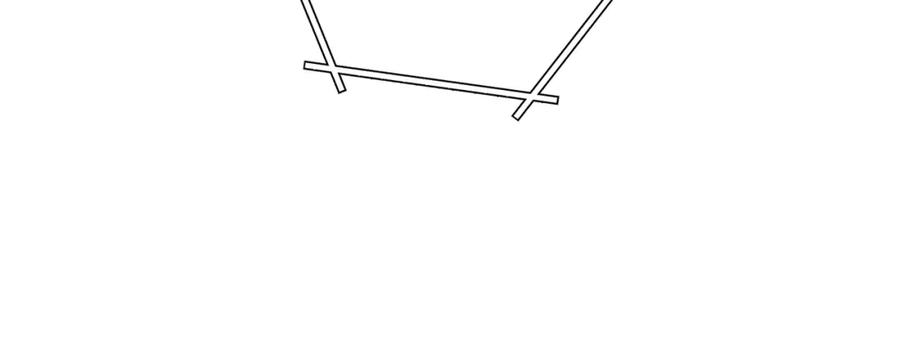 206.jpg