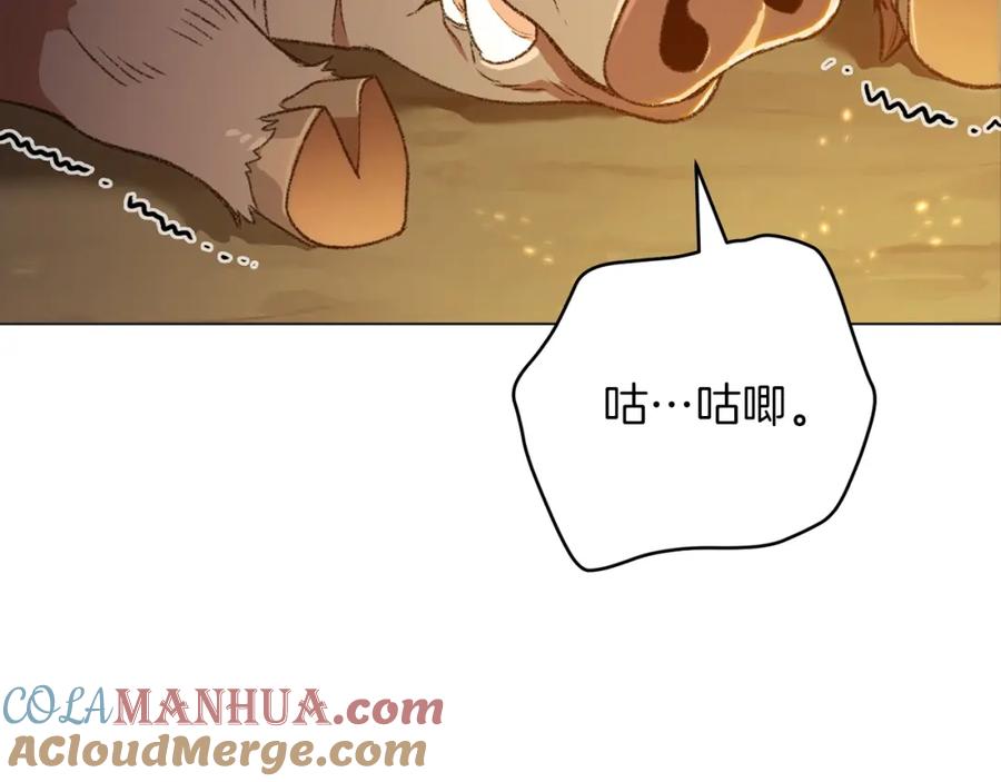 169.jpg