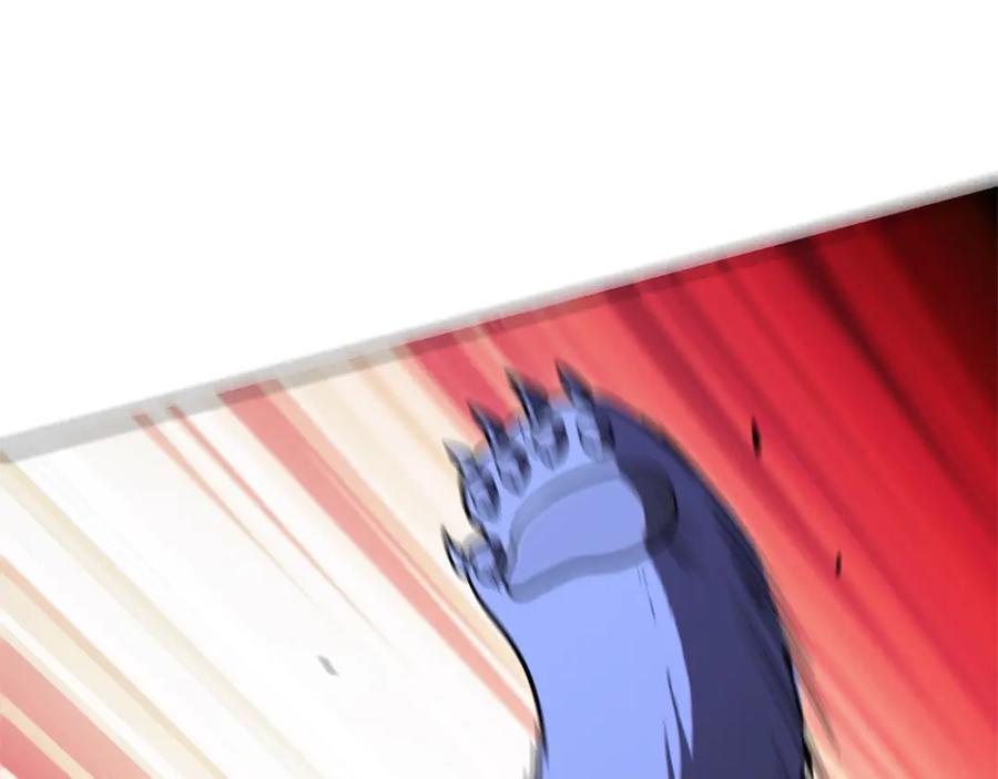 62.jpg