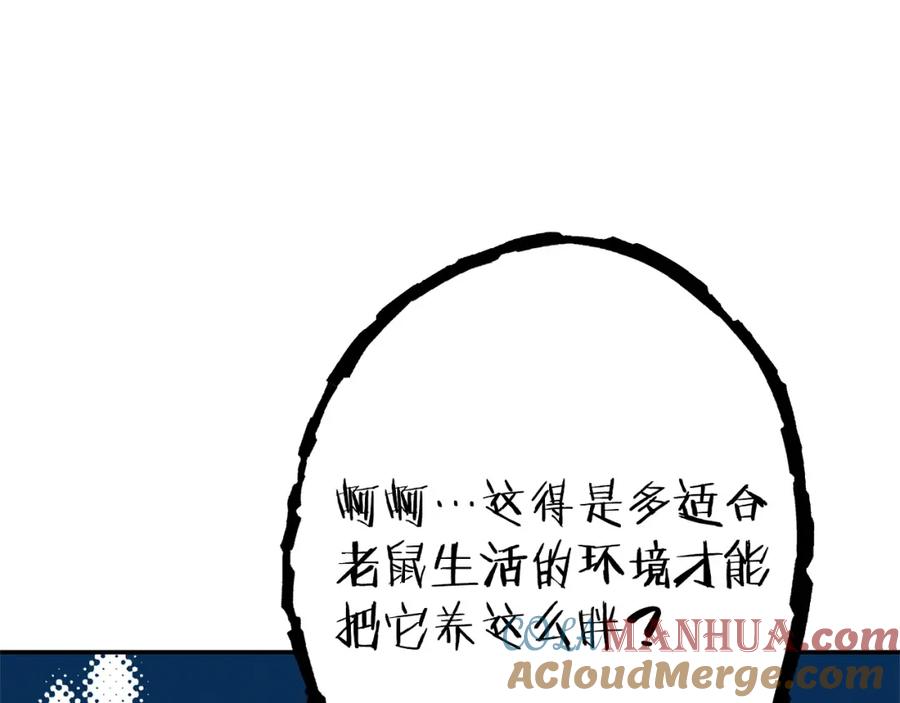 185.jpg