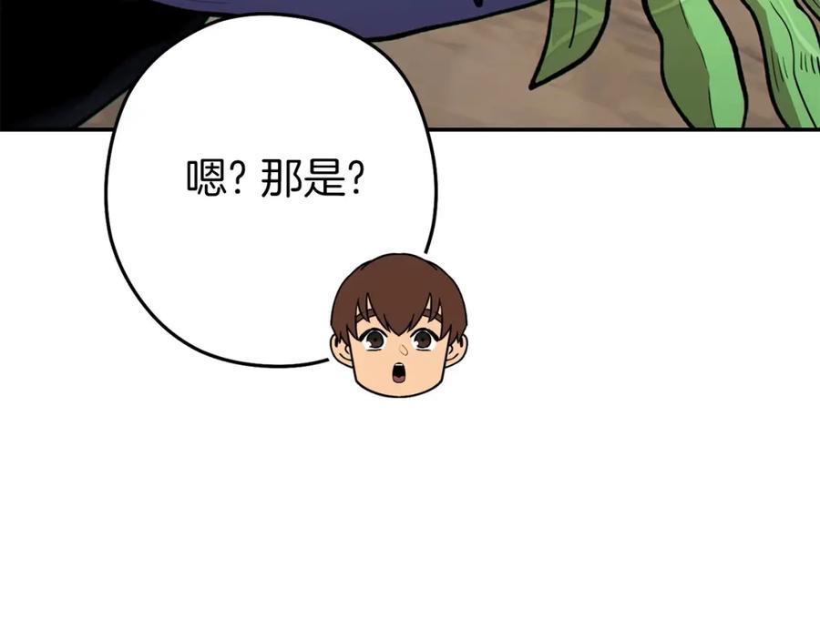 86.jpg