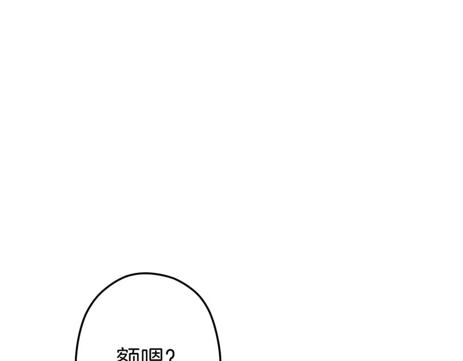 144.jpg