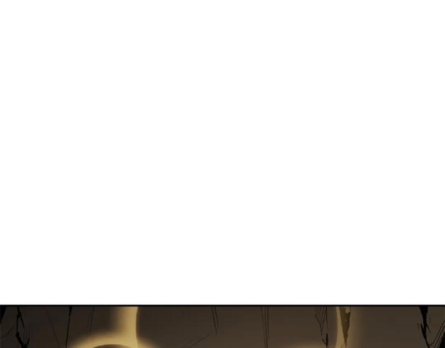 164.jpg