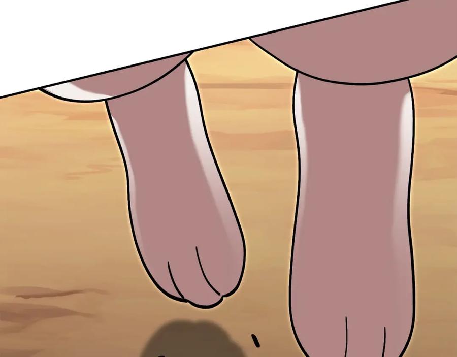 224.jpg