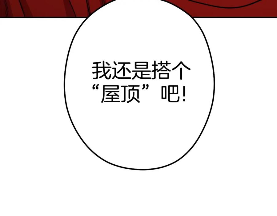 236.jpg