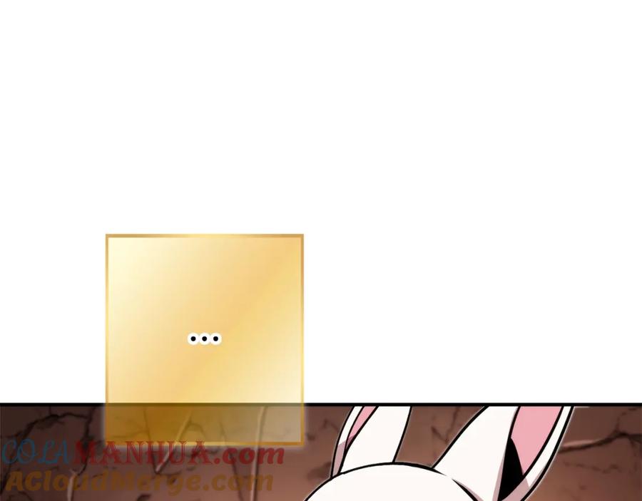 213.jpg