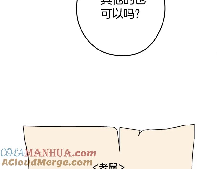 217.jpg