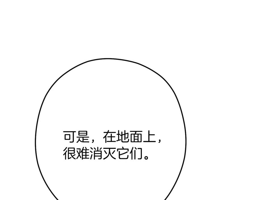 91.jpg