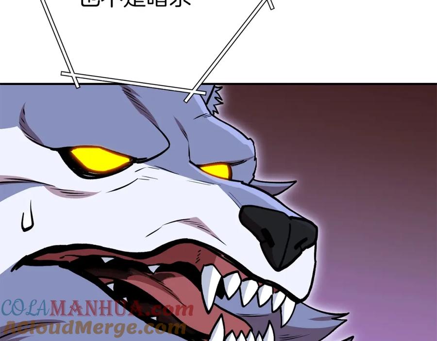 169.jpg