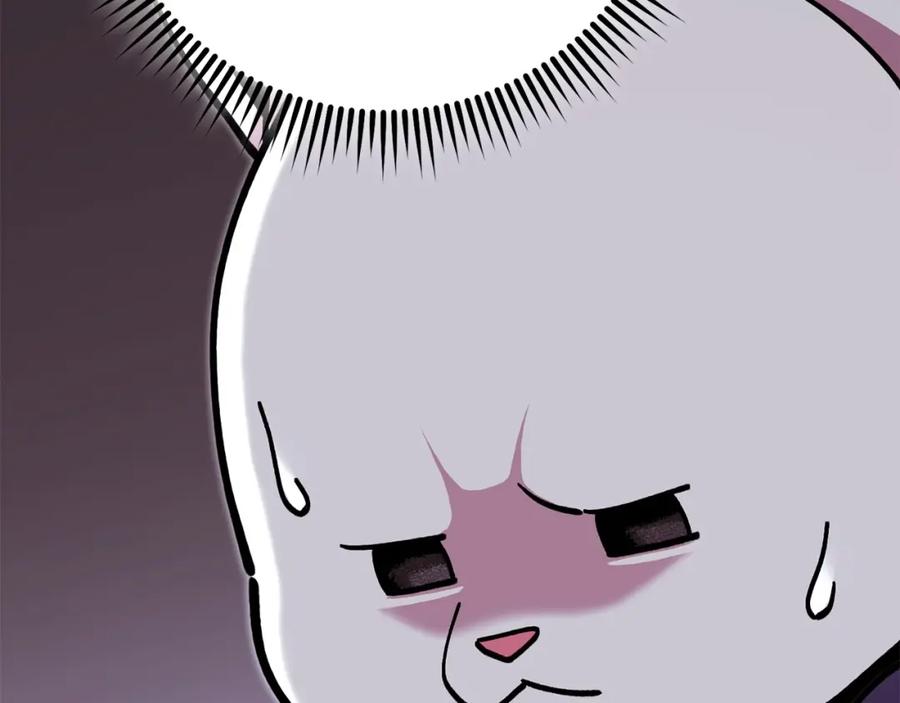 231.jpg