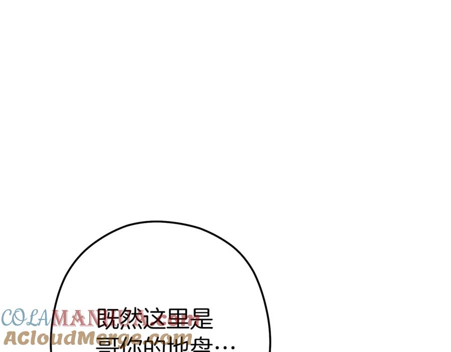 97.jpg