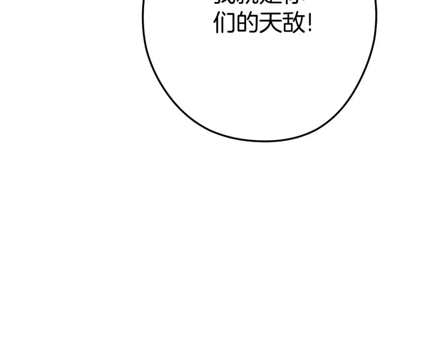 115.jpg