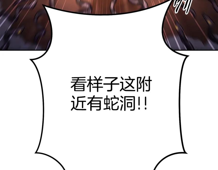 167.jpg