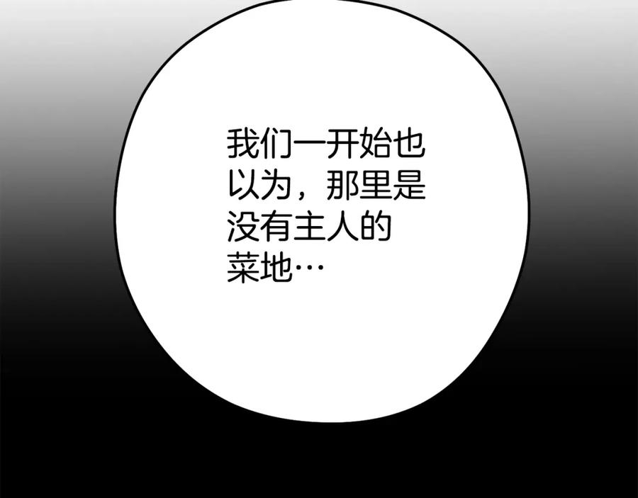 114.jpg