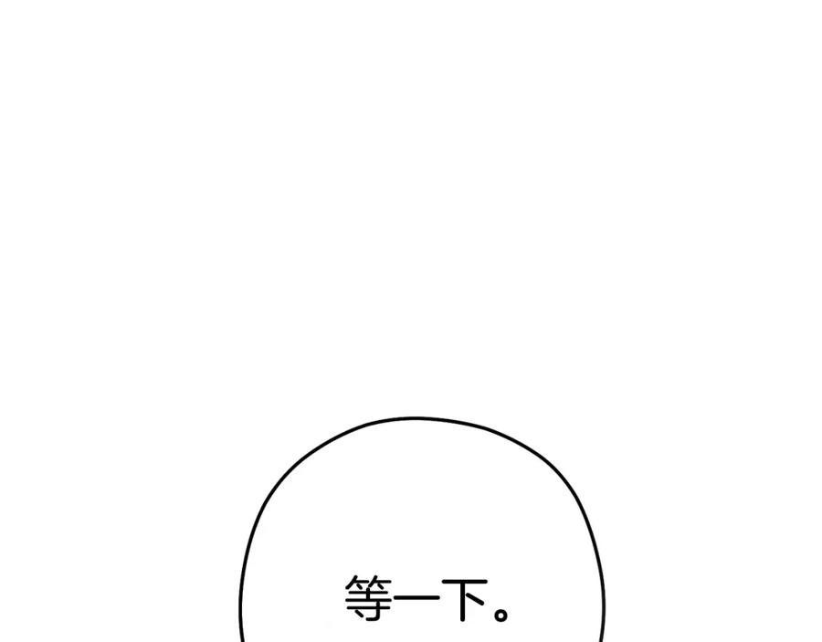 132.jpg
