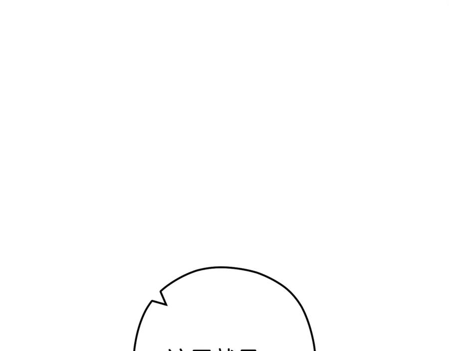 243.jpg