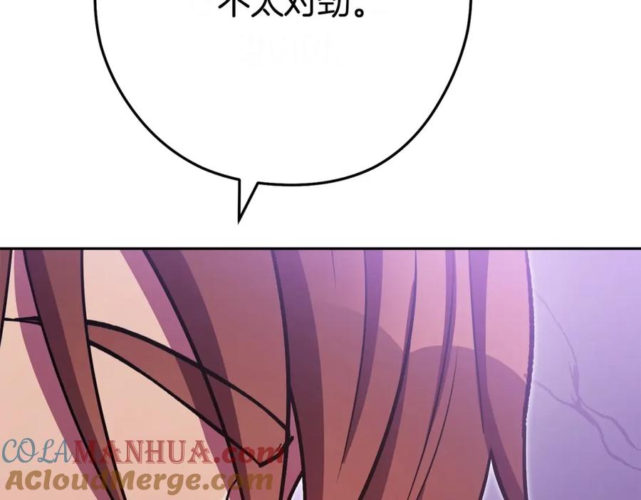 233.jpg
