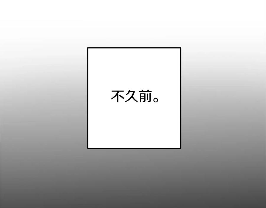 146.jpg