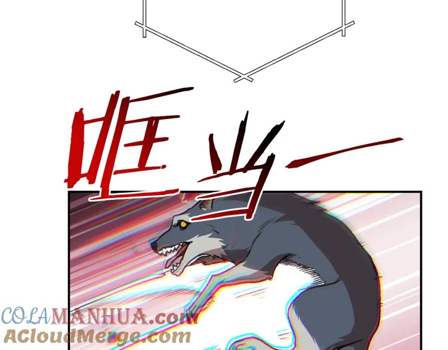 133.jpg