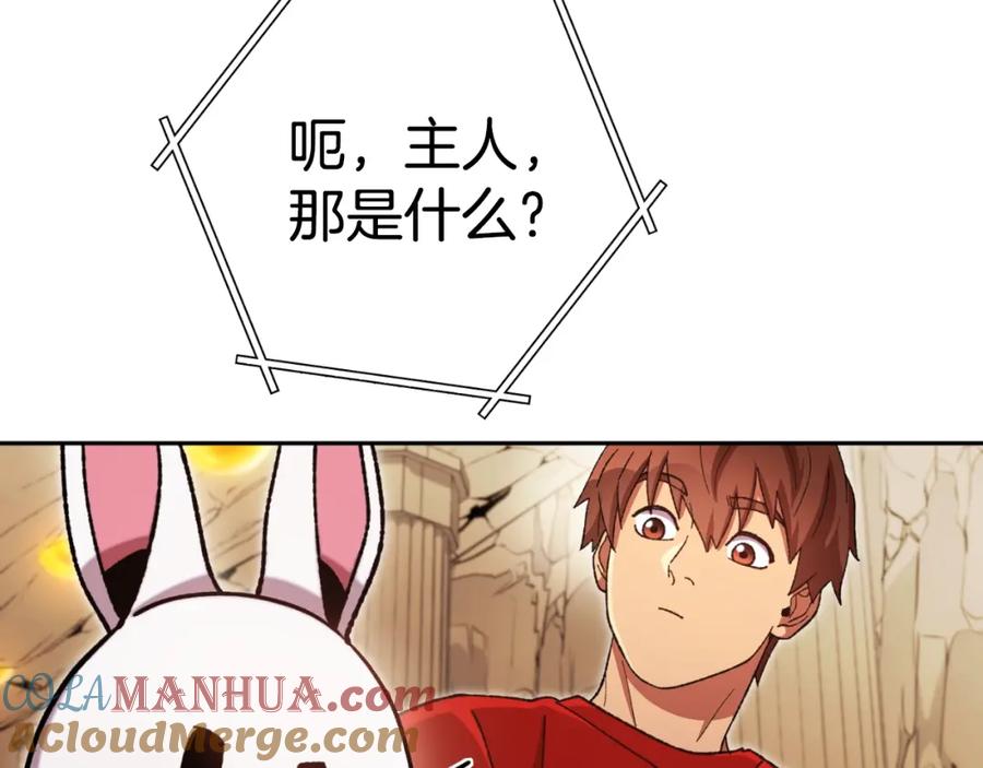 233.jpg