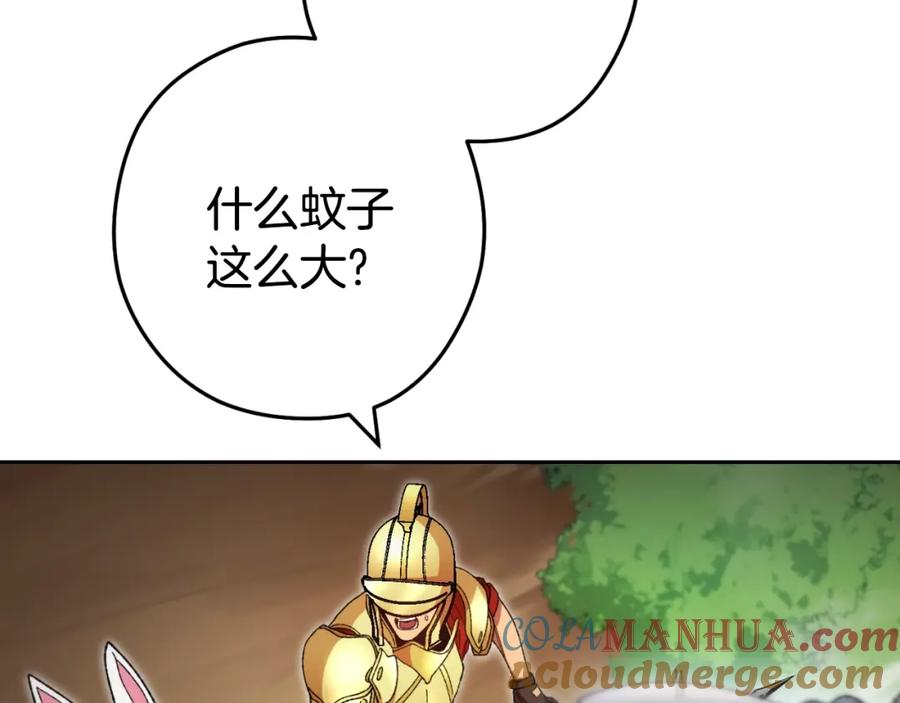 197.jpg
