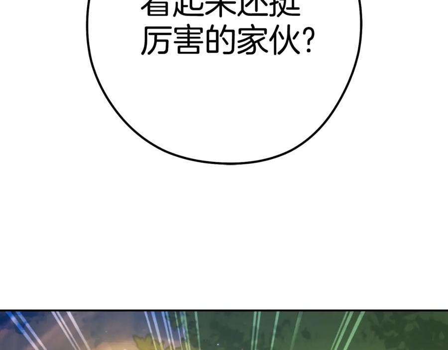 231.jpg