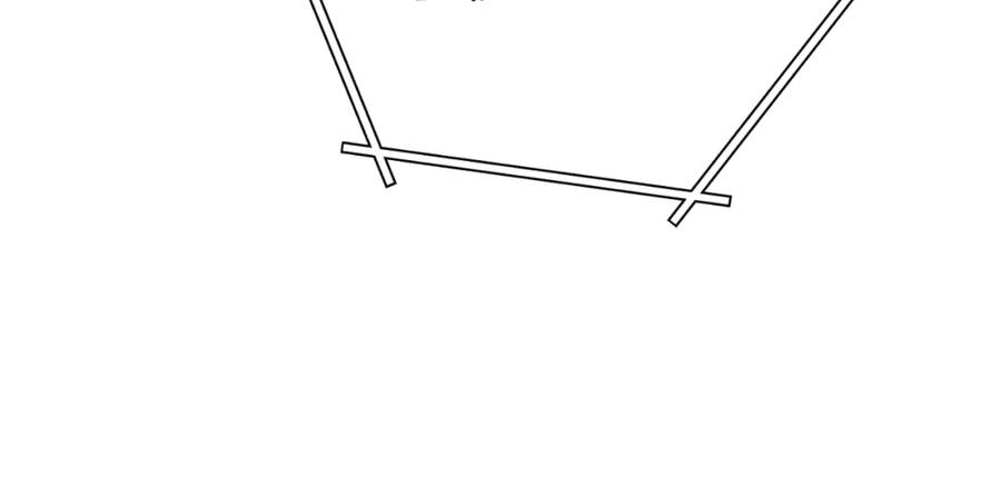 206.jpg