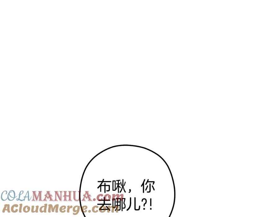 113.jpg
