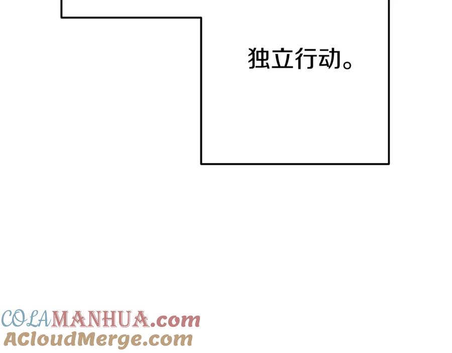 213.jpg