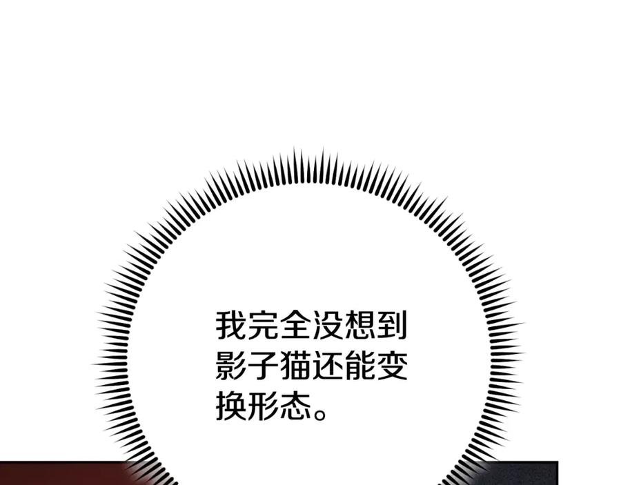 132.jpg