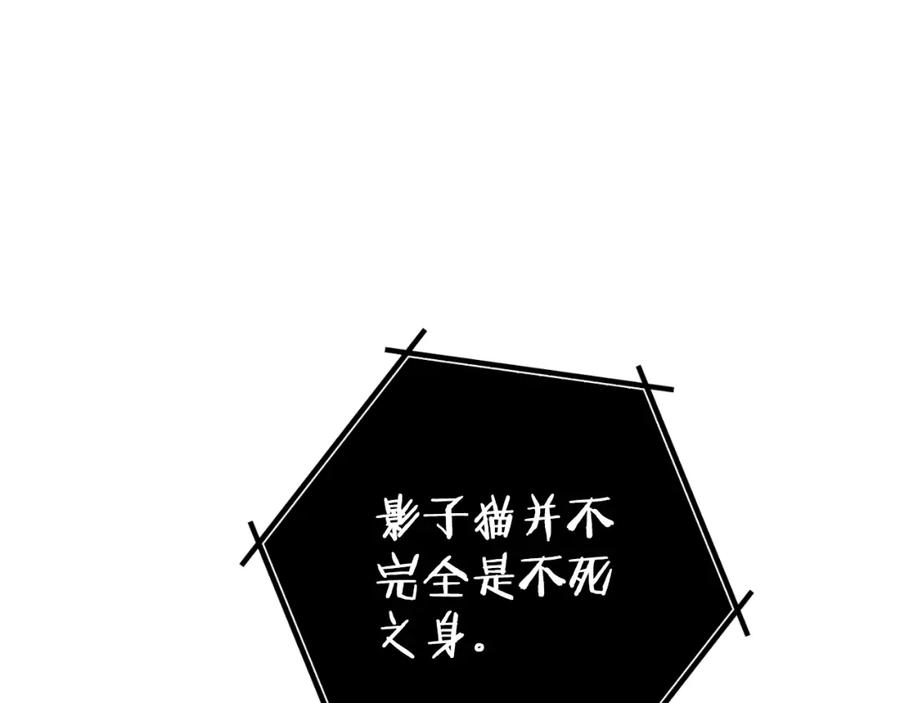 123.jpg