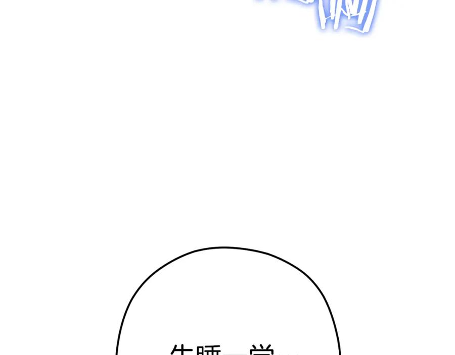176.jpg
