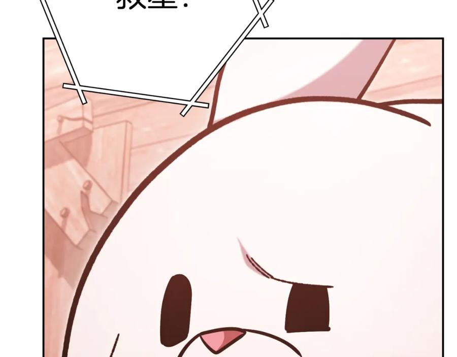 231.jpg