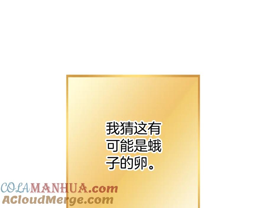 205.jpg